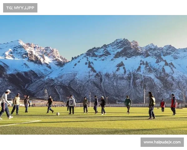 高原球场的独特魅力与挑战：探讨高海拔环境对运动员表现的影响