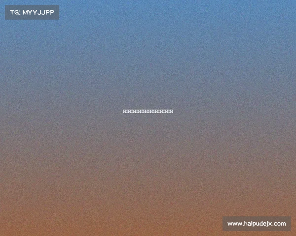 柏林联盟崛起之路：德甲新力量的成长与挑战